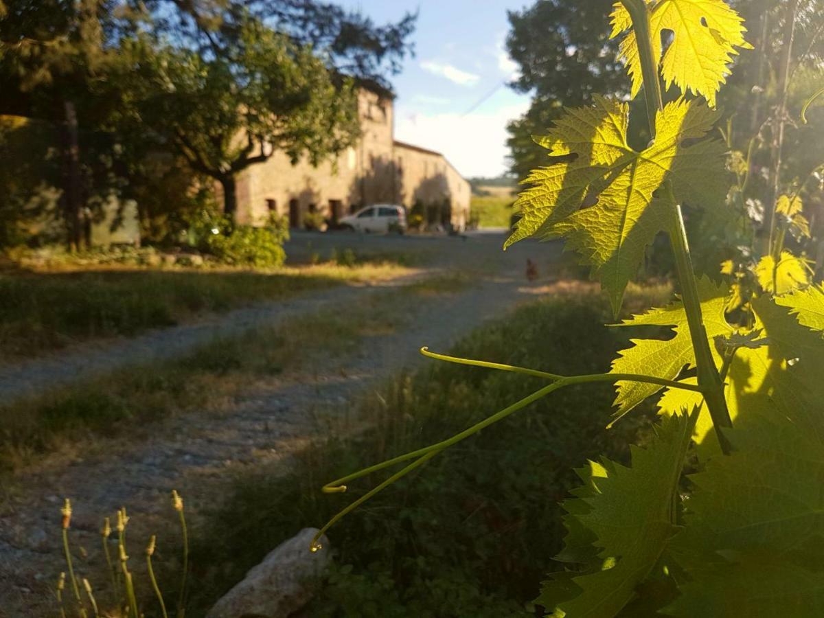 Agriturismo Podere Molino Peccioli Luaran gambar