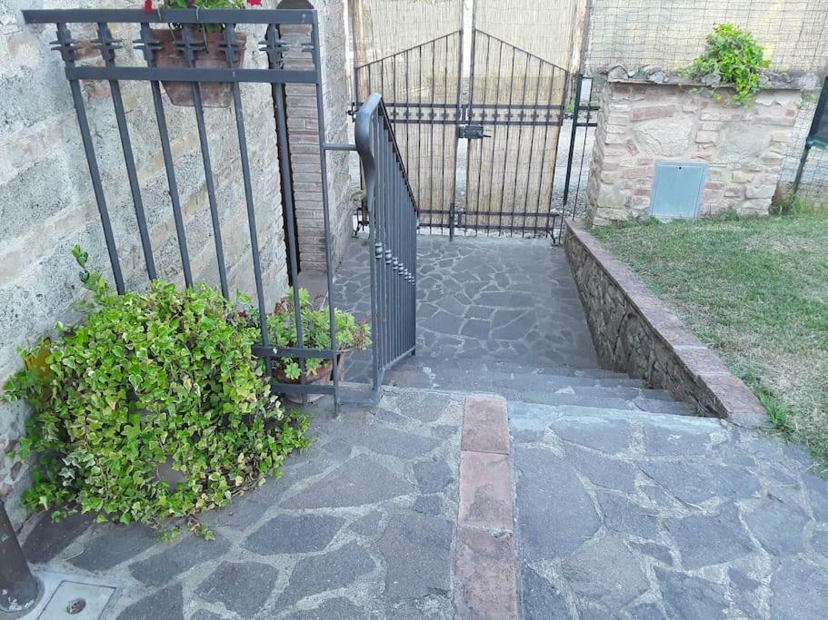 Agriturismo Podere Molino Peccioli Luaran gambar