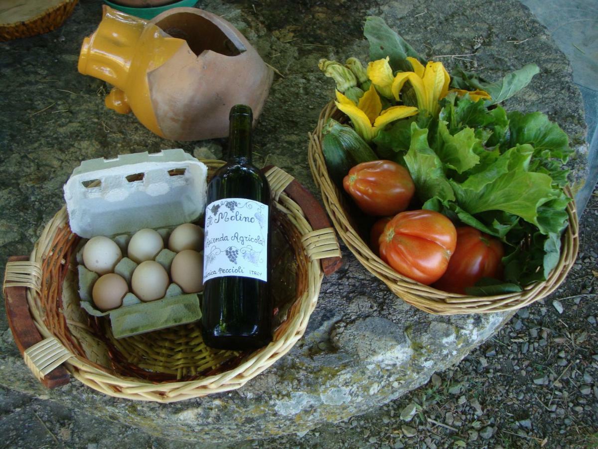 Agriturismo Podere Molino Peccioli Luaran gambar