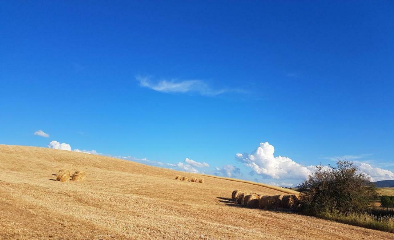 Agriturismo Podere Molino Peccioli Luaran gambar