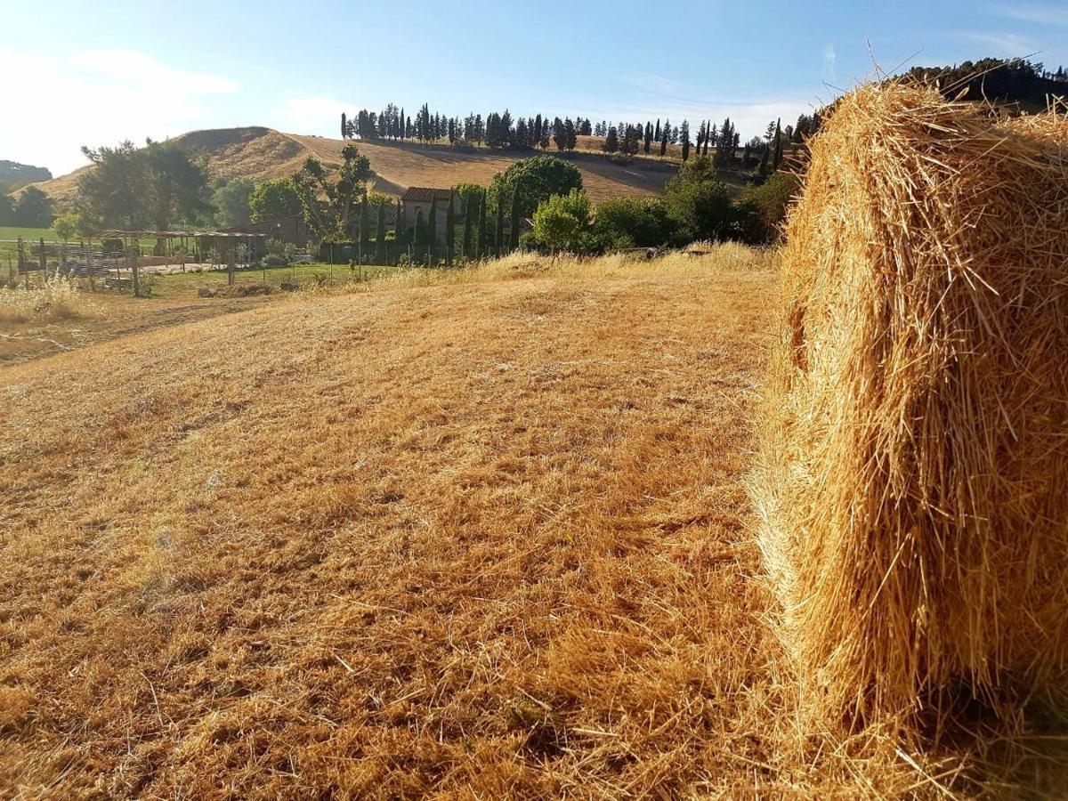 Agriturismo Podere Molino Peccioli Luaran gambar