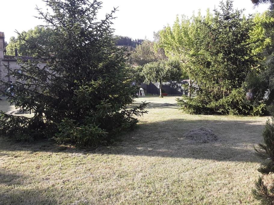 Agriturismo Podere Molino Peccioli Luaran gambar